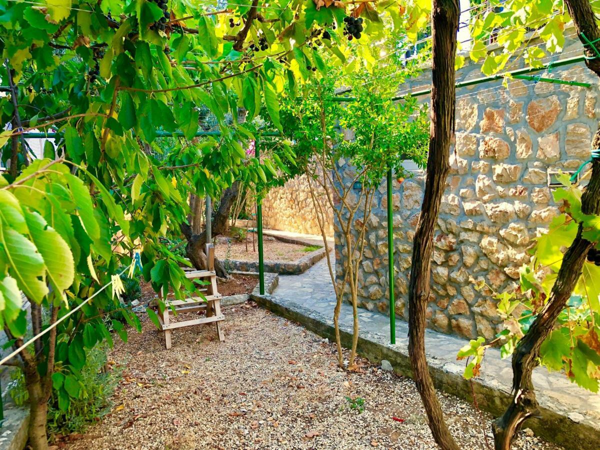 Villa Dinastija Кали Екстериор снимка